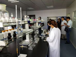 探訪酒香深處的體育魂 百家媒體走進(jìn)河南仰韶酒業(yè)